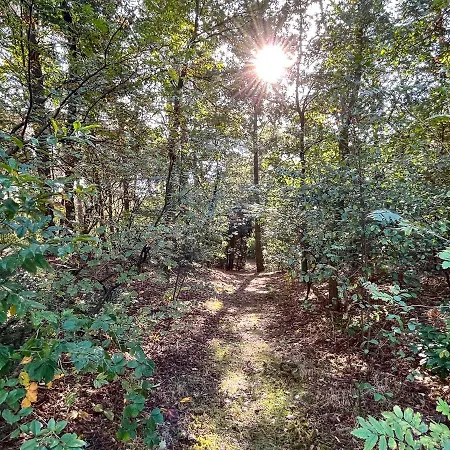 Modern Natuurhuisje Midden In Het Bos Op De Veluwe - Beau Vakantiehuis *