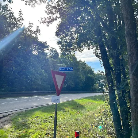 Modern Natuurhuisje Midden In Het Bos Op De Veluwe Σπίτι διακοπών Otterlo