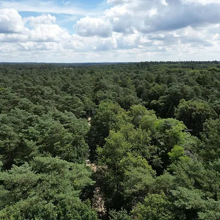Modern Natuurhuisje Midden In Het Bos Op De Veluwe - Beau