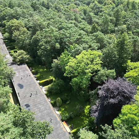 Vakantiehuis Modern Natuurhuisje Midden In Het Bos Op De Veluwe - Beau Otterlo