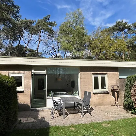 Modern Natuurhuisje Midden In Het Bos Op De Veluwe * Otterlo