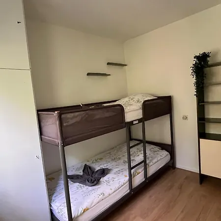 Modern Natuurhuisje Midden In Het Bos Op De Veluwe *