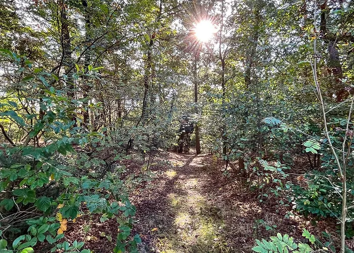 Modern Natuurhuisje Midden In Het Bos Op De Veluwe 펜션 *