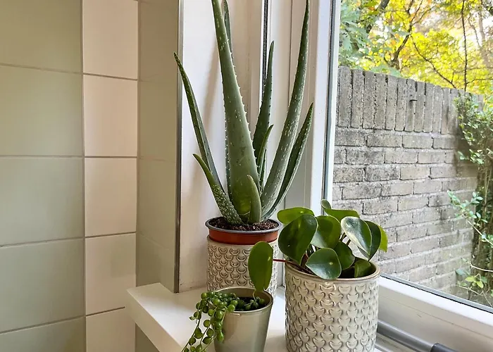 Modern Natuurhuisje Midden In Het Bos Op De Veluwe - Beau * Otterlo