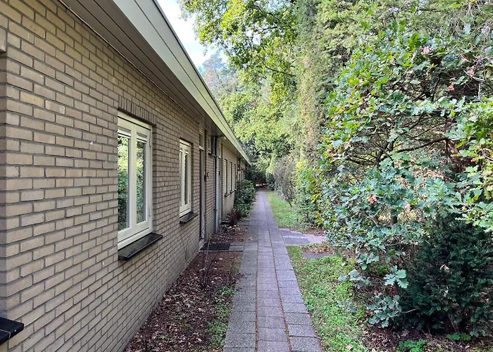 펜션 Modern Natuurhuisje Midden In Het Bos Op De Veluwe