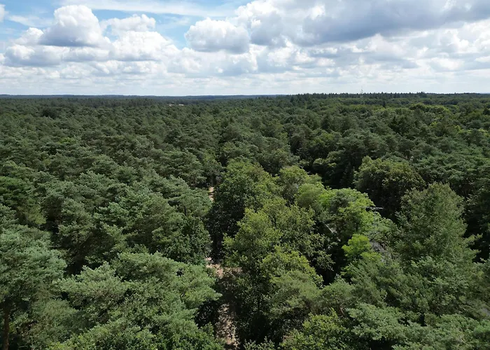 Modern Natuurhuisje Midden In Het Bos Op De Veluwe