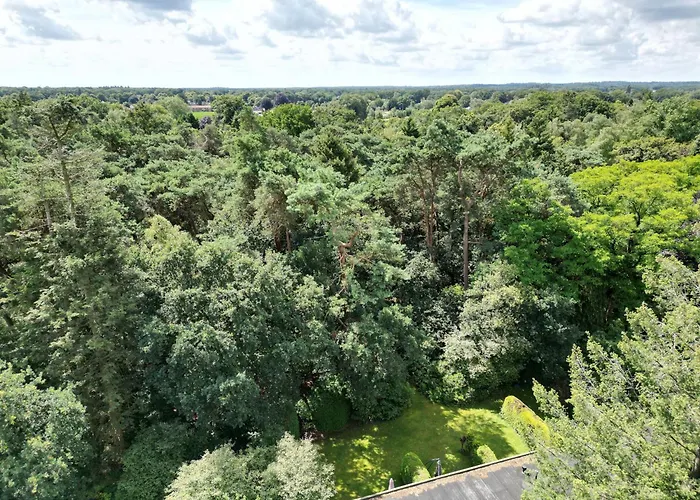 Modern Natuurhuisje Midden In Het Bos Op De Veluwe 펜션