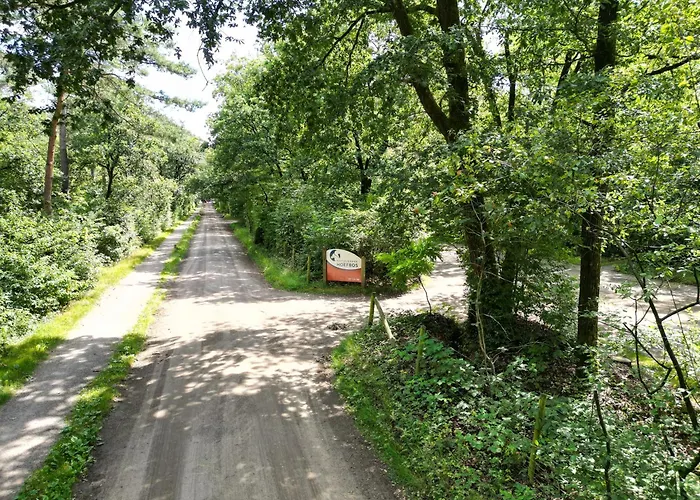 Modern Natuurhuisje Midden In Het Bos Op De Veluwe 펜션 *