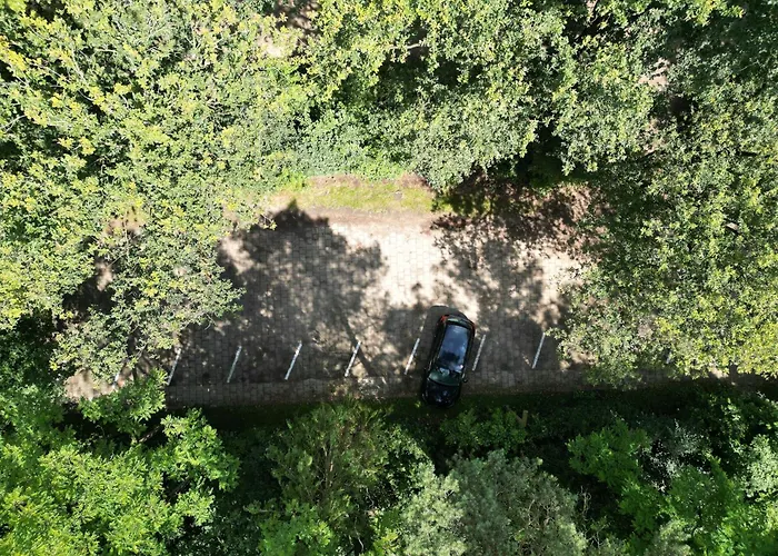 펜션 Modern Natuurhuisje Midden In Het Bos Op De Veluwe *