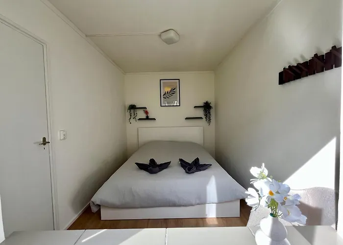 Vakantiehuis Modern Natuurhuisje Midden In Het Bos Op De Veluwe - Beau