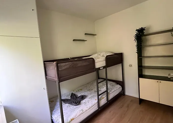 Modern Natuurhuisje Midden In Het Bos Op De Veluwe - Beau *