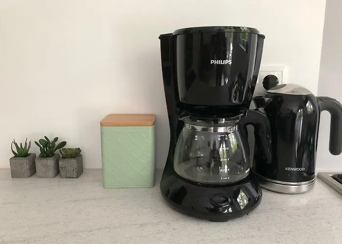 Modern Natuurhuisje Midden In Het Bos Op De Veluwe 펜션 오털로