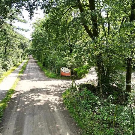Modern Natuurhuisje Midden In Het Bos Op De Veluwe Hébergement de vacances *