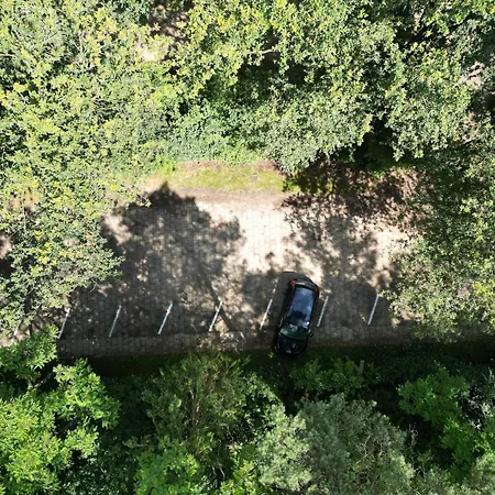 Casa de Férias Modern Natuurhuisje Midden In Het Bos Op De Veluwe *