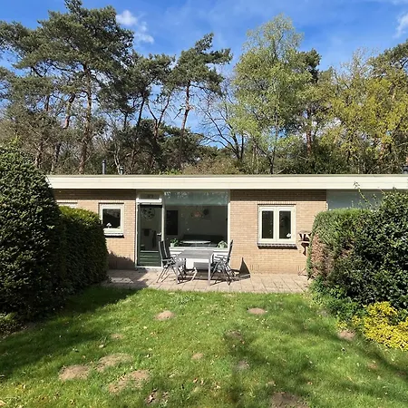 Modern Natuurhuisje Midden In Het Bos Op De Veluwe * Otterlo