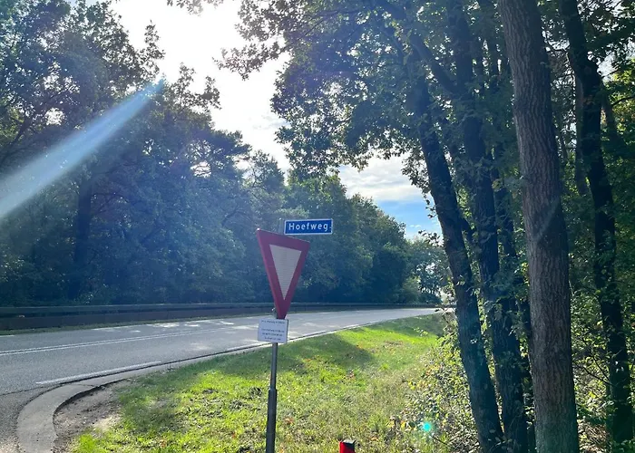 Modern Natuurhuisje Midden In Het Bos Op De Veluwe Hébergement de vacances Otterlo