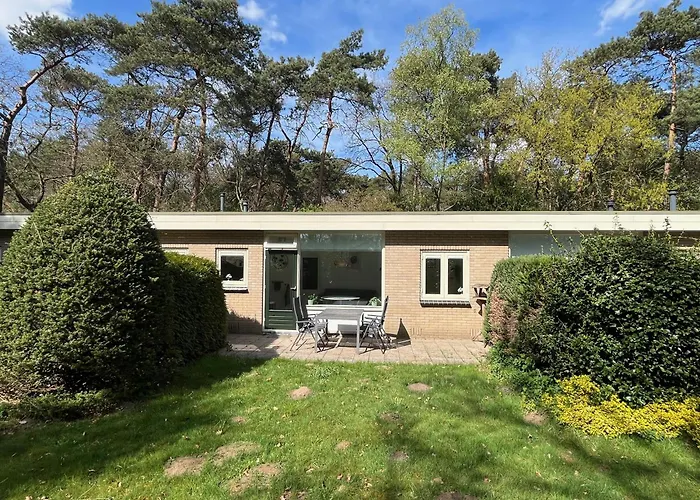 Modern Natuurhuisje Midden In Het Bos Op De Veluwe * Otterlo